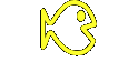 News & Tools