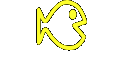 Wildfnge nach dem Fang